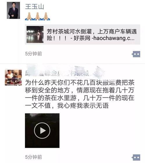 茶叶爆料视频大全集播放,揭秘茶叶界的秘密与传奇