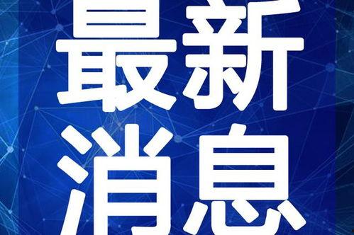 天光游乐场最新爆料视频,揭秘神秘设施与精彩瞬间