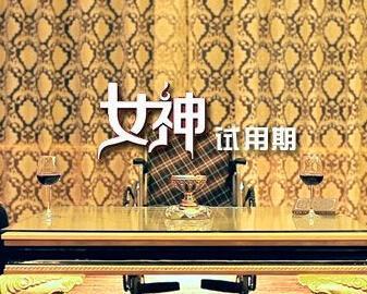 女神试用期在线观看,职场新秀的蜕变之旅