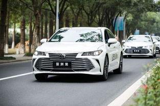 宁波亚洲龙最新爆料,尖端科技与时尚设计完美融合