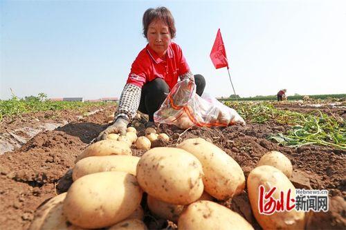 乡6全集在线观看土豆,重温乡村情怀，感受岁月流转