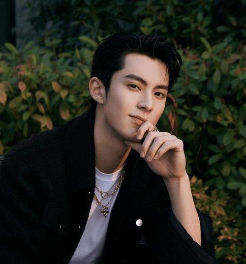 王鹤棣人品爆料了吗视频,揭秘视频爆料背后的真相