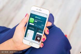 性烟手机在线观看,揭秘网络色情传播的隐秘角落