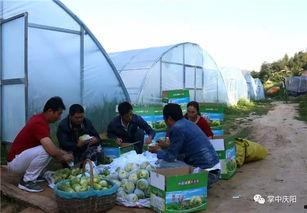 娱乐坊吃瓜一线